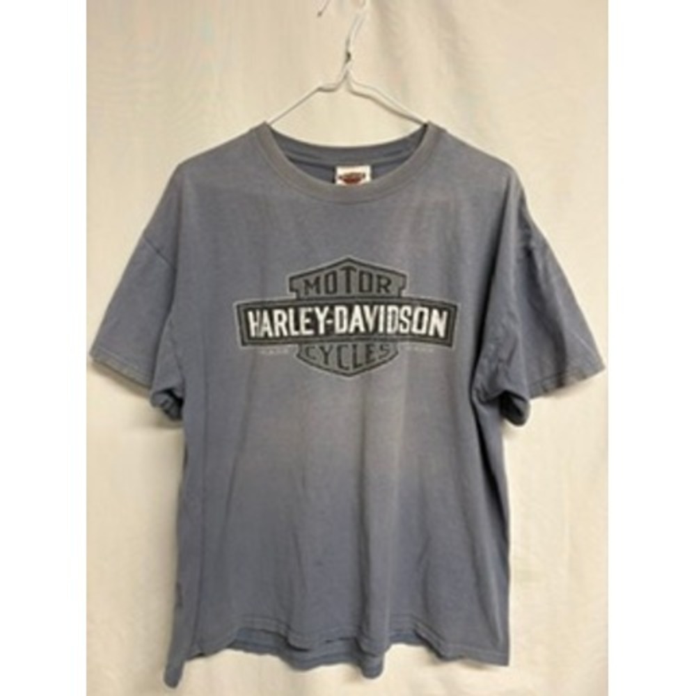 Vintage Harley Davidson Virginia Beach T-Shirt Blue Distressed Large RK Stratman